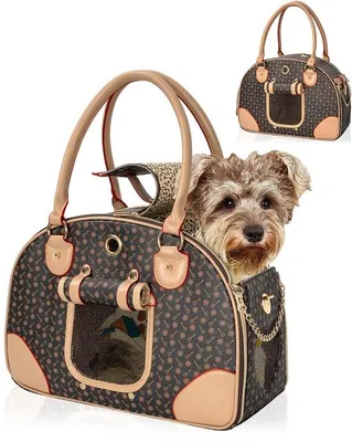 Produktbild von Tragbare Hundetasche, 42 x 18 x 31 cm – Hundereisetasche für kleine Hunde und Katzen bis 4 kg – Ideal für Ausflüge, Camping und Reisen