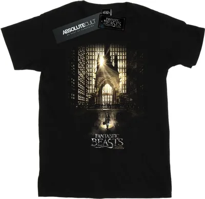 Produktbild von Fantastic Beasts - T-Shirt für Herren BI24942 (S) (Schwarz)