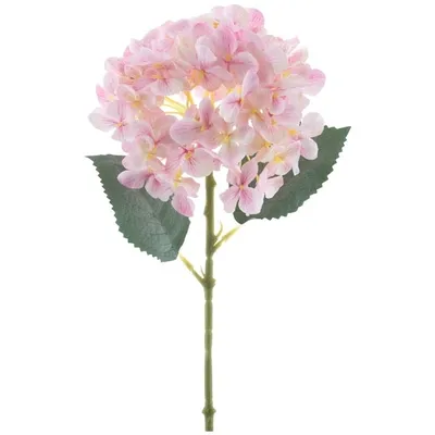 Produktbild von Hortensie, Pink, 40 cm lang, 271965