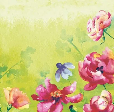 Immagine prodotto di Tovaglioli Dunisoft Garden Joy 60 pezzi 1 confezione
