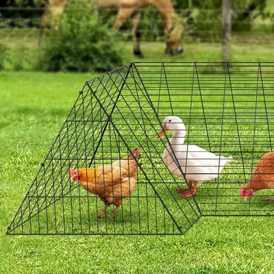 Productafbeelding van Kippentunnels, 157,5 x 39,4 x 24,2 cm (L x B x H). Kippentunnels voor de tuin, draagbare kippentunnels voor buiten met hoekframes. Geschikt voor kippen, eenden en konijnen