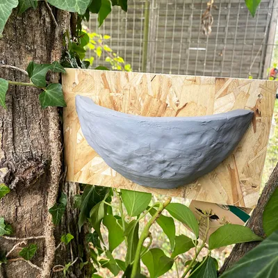 Image de Nichoir pour hirondelle rurale