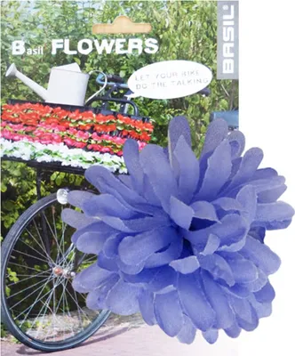 Produktbild von Basil Lenkerblume Dahila , violett