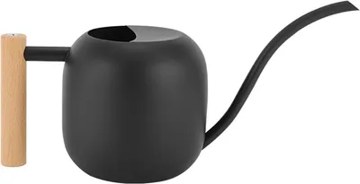 Produktbild von 1,2 L Gießkanne aus rostfreiem Stahl Holzgriff Gießkanne aus Edelstahl für Zimmerpflanzen Blumengießkanne,Schwarz