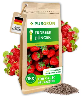Produktbild von Purgrün -Erdbeerdünger | Krümelgranulat für Erdbeeren | 1kg