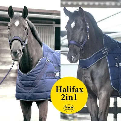 Produktbild von Kavalkade Halifax 2in1 Stall- und Führanlagendecke 200g - marine
