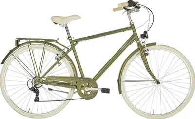 Produktbild von ANITAbyAlpina Cityfahrrad  SHARIN MAN 28 Zoll, grün