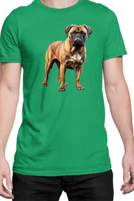Immagine prodotto di Maglietta da uomo Dogs Breeds Bullmastiff Dog Breed 005, Man L , Vert