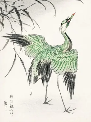 Produktbild von Plakat 30x40cm Demoisellekranich, Japanisches Vintage Kashu für das Wohnzimmer