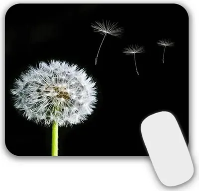 Image de Petit tapis de souris avec motif 24x20x0,3cm noir pour PC et ordinateur portable