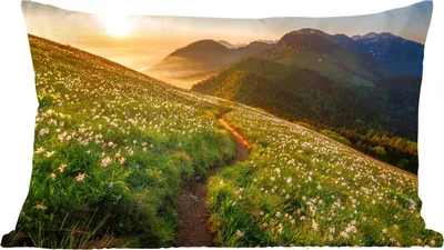 Produktbild von MuchoWow® Zierkissen Sofakissen Wohnzimmer Dekokissen 50x30 cm Blumen - Sonne - Berge - Wohnzimmerdekoration - Polster mit Photo