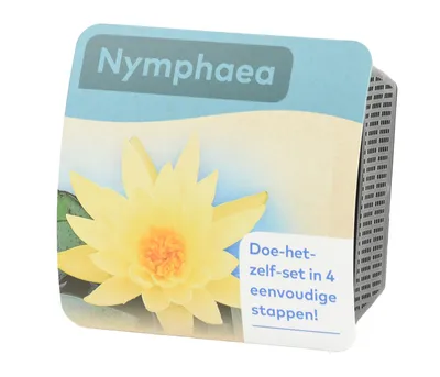 Produktbild von Dehner Teichpflanzen Set Seerose, 6-teilig, 3x Seerose gelb je 5 - 25 cm, Pflanzkorb Ø 18 cm, Teichboden, Kies