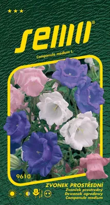 Produktbild von Samen Glockenblume - Mix Tasse und Untertassen 0,3g