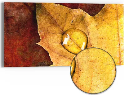 Produktbild von DEQORI Hybrid Leinwand Bild 60x30 cm 'Tropfen des Wandels' Wandbild Glas flach modern