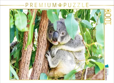 Produktbild von CALVENDO Puzzle Huhu | 1000 Teile Lege-Größe 64 × 48 cm Foto-Puzzle für glückliche Stunden