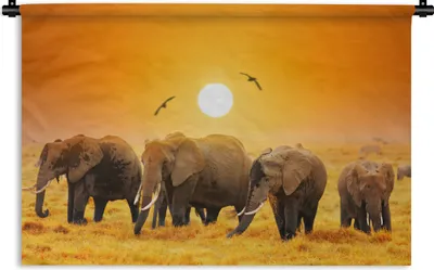 Produktbild von MuchoWow® Wandteppich Wandbehang Elefant - Vogel - Orange 150x100 cm Tapisserie Dekoration Wandtuch - Waschbar - Tapisserien - Wand-Decke
