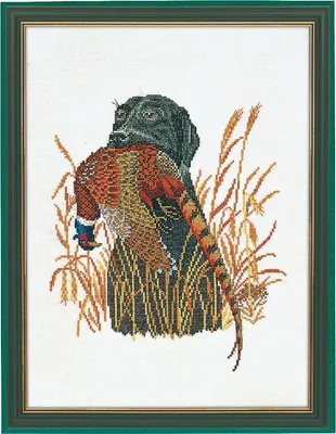 Produktbild von Eva Rosenstand Kreuzstich Set "Jagdhund und Fasan", Zählmuster, 30x40cm