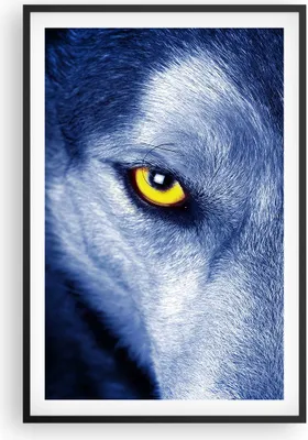 Produktbild von Gerahmtes Poster - Schwarzer Rahmen - Schau der Wolf Augen - 61x91,5 cm - Wand Bild - Wanddeko - Wandbilder - Kunstposter - Wandposter - Bilderrahmen - Bilder - Kunstdruck - P2BPA61x91-4587