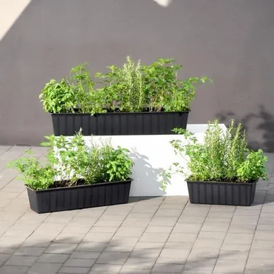 Produktbild von Balkon-Blumenkasten in Anthrazit – wetterfester Pflanzkasten aus UV-beständigem Kunststoff mit Untersetzer, 60 cm