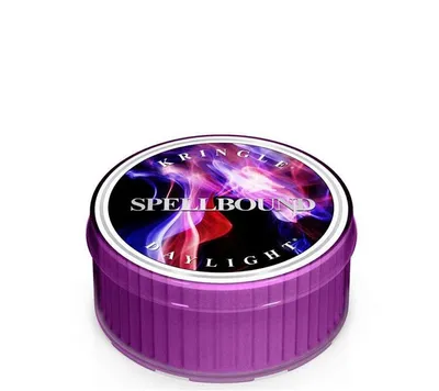 Produktbild von Kringle Candle Duftkerze Daylight Maxi-Teelicht Spellbound
