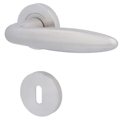 A silver door handle and escutcheon plate on a white background.