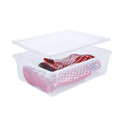 Image de Boîtes de rangement Clear Box de Rotho