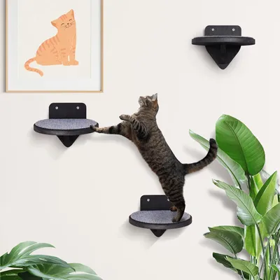 Produktbild von Kletterwand Katzen aus Birkenholz | 3er-Set Katzentreppen mit Kratzflächen | Wandmontage Katzenleiter | Kletternetz für Katzen