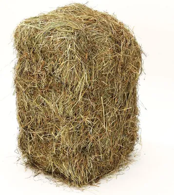 Produktbild von Dehner Wiesenheuballen, 10 kg