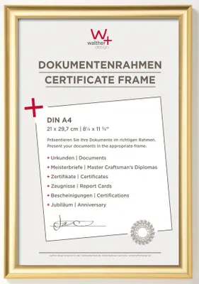 Productafbeelding van Walther Trendstyle, 21x29,7 cm, kunststof, goud, DIN A4, modelnummer KP130G