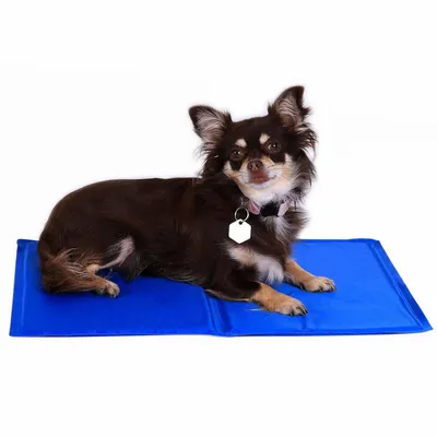 Produktbild von lionto Kühlmatte für Hunde & Katzen, selbstkühlend, 50x40 cm, leichte Reinigung, blau