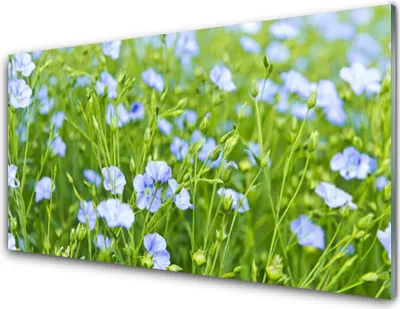 Produktbild von Acrylglasbilder 100x50 Wandbild Druck Blumen Gras Natur