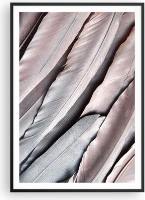 Produktbild von Gerahmtes Poster - Schwarzer Rahmen - Federn Flügel Feder - 70x100 cm - Wand Bild - Wanddeko - Wandbilder - Kunstposter - Wandposter - Bilderrahmen - Bilder - Kunstdruck - P2BPA70x100-5114
