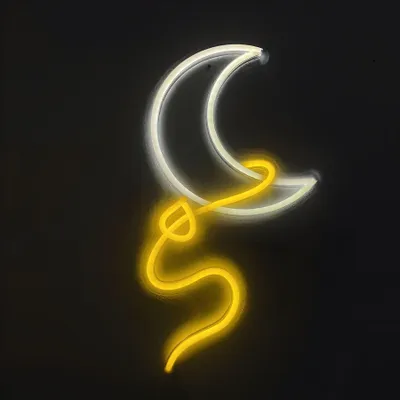 Immagine prodotto di Luce LED NEON, applique decorativa, luna con cavo, circa 26,5 x 48,5 x 2 cm