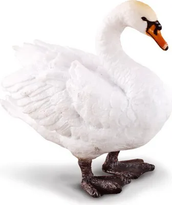 Image de COLLECTA Swan