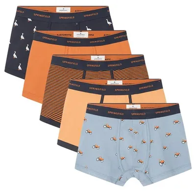 Produktbild von Springfield Kleid mit Print braun S