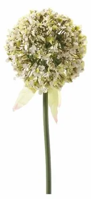 Produktbild von Kunstliche Blume - Zierzwiebel / Allium - weis/grun - 70 cm - Kunststoff