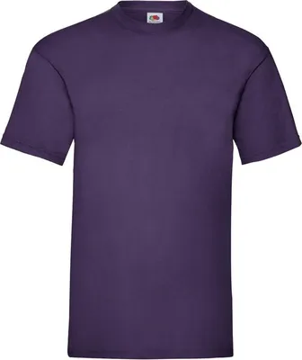 Produktbild von Herren-T-Shirt, Kurzarm - FOL VALUEWEIGHT T - purple - Größe 2XL