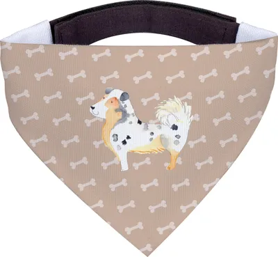 Produktbild von Mr. & Mrs. Panda Halstuch Hund Australien Shepherd - Hundeglück - Geschenk, Sprüche, Hunde, Für, Spruch, Hundehalstuch, Wauwau, Tuch, Dreieckstuch