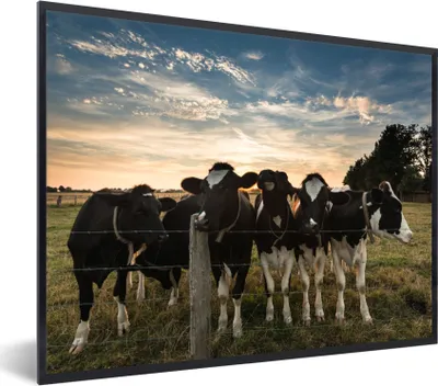 Produktbild von MuchoWow® Gerahmtes Poster Tiere - Kuh 40x30 cm - Poster mit Schwarzem Bilderrahmen Wandposter Rahmen Foto Bilder - Kunstposter - Wanddekorationen