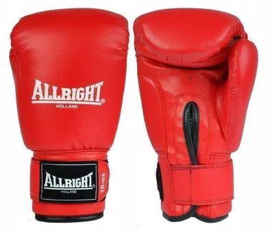 Produktbild von Boxhandschuhe Training Allright