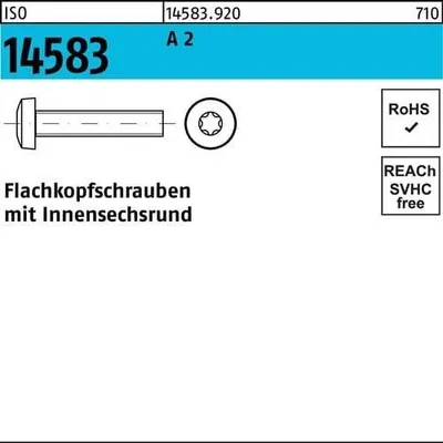 Produktbild von Reyher  Flako-schrauben m. ISR ISO 14583 A 2 M 5 x 8 -T25 A 2 (500 Stück)