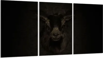 Produktbild von Glasschutzplatte für Herd 3x30x52
