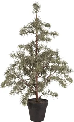 Zdjęcie produktu dla IB Laursen Choinka CEDAR z plastikową doniczką medium | Ø 35 H80cm