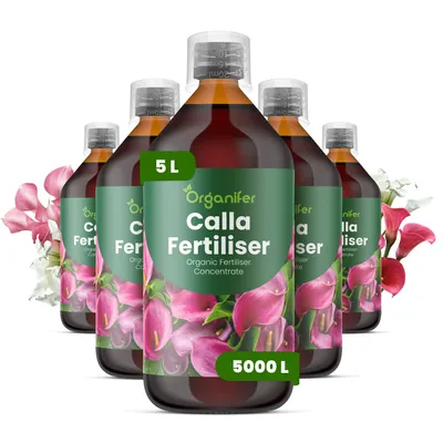 Zdjęcie produktu dla Calla Nawóz Płynny 5x1 L – 3-4-3 NPK – Do Kvitnúce Rośliny – Do Bujne Kwiaty i Silne Rhizómy – Podporuje Korzenie i Vitalitu – Organifer