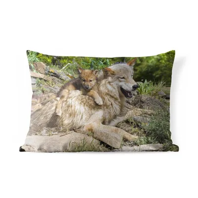 Obrázek produktu pro MuchoWow® Vnější polštář - Vlk - mládě - zvíře -60x40 cm- Odolnost proti povětrnostním vlivům - polštář do obývacího pokoje