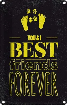 Produktbild von vianmo Blechschild 18x12 cm Freunde You I best friends forever