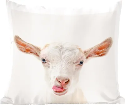 Produktbild von MuchoWow® Zierkissen Sofakissen Wohnzimmer Dekokissen 60x60 cm Tiere - Ziege - Weiß - Sitzfläche - Foto Polster