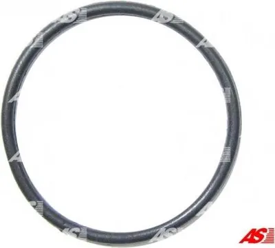 Obrázek produktu pro Oring Alternátoru