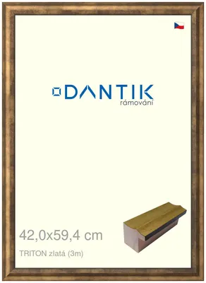 Obrázek produktu pro DANTIK rámeček 42x59,4 | TRITON zlatá (Plexi Čiré)