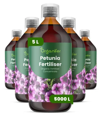 Produktbild von Petunien Flüssigdünger 5x1L – 2-1-8 NPK – Flüssig-Pflanzendünger für Petunien – Organifer